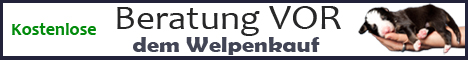 Logo Beratung vor dem Welpenkauf 468-60